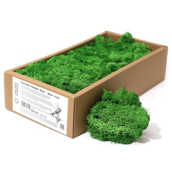 Dekoračný Islandský Mach - Machovo Zelený - 635 g