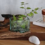 Roztavené Sklo na Dreve - Veľká Hranatá Misa – Obrázok 6