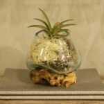 Roztavené Sklo na Dreve - Malá Misa – Obrázok 8