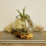 Roztavené Sklo na Dreve - Malá Misa