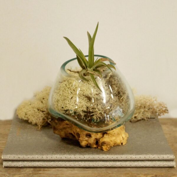 Roztavené Sklo na Dreve - Malá Misa